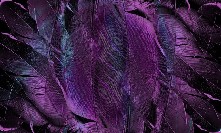 Feather, pattern illustrating forms builder