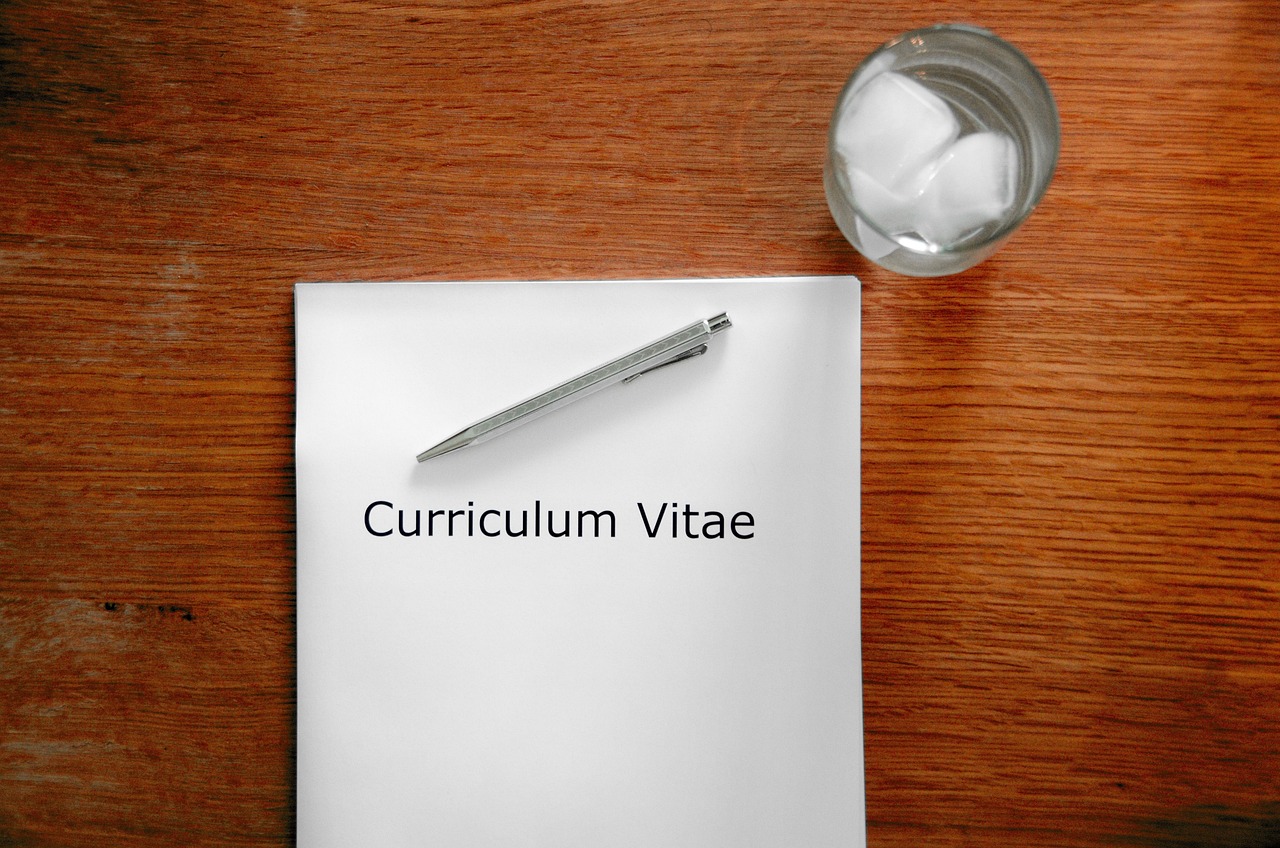 Application, curriculum vitae illustrating reduce interview shows
